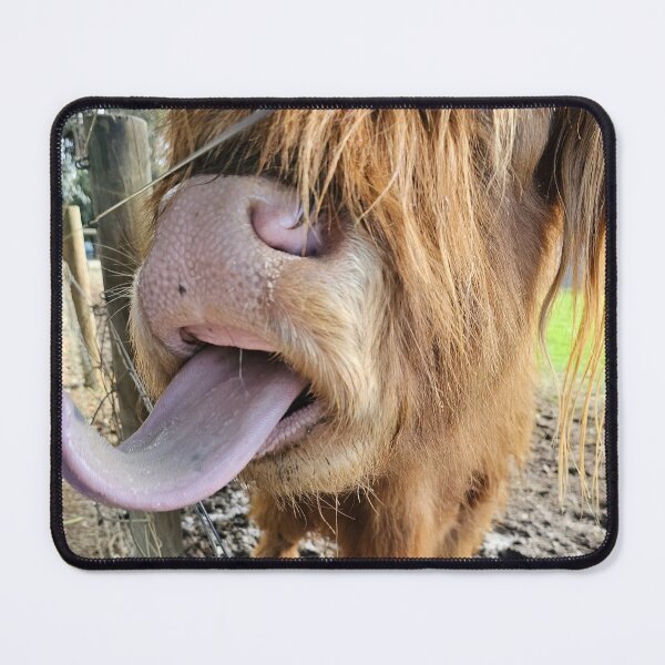 Item preview, Highland Cow designed and sold by cassinki.
