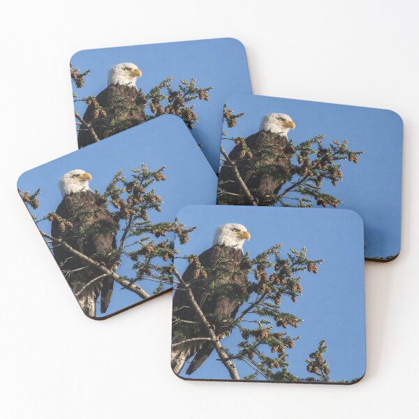 Item preview, Majestic Bald Eagle Perched in a Pine Tree designed and sold by Kimberly Palmer.
