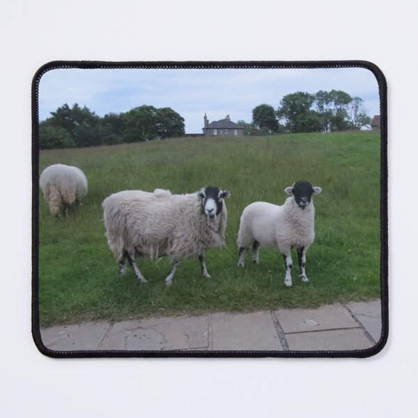 Item preview, The Committee Will Now Hear Your Excuse designed and sold by Astute-Artio-Photography.
