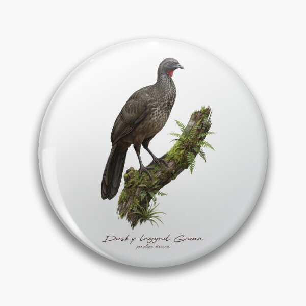 Item preview, Dusky-legged Guan on Mossy Tree Bird Illustration designed and sold by Takeda-art.