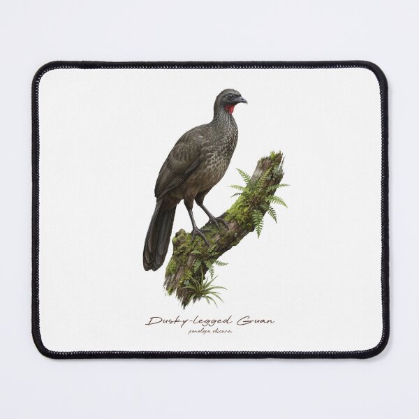 Item preview, Dusky-legged Guan on Mossy Tree Bird Illustration designed and sold by Takeda-art.