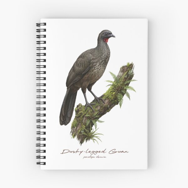 Item preview, Dusky-legged Guan on Mossy Tree Bird Illustration designed and sold by Takeda-art.