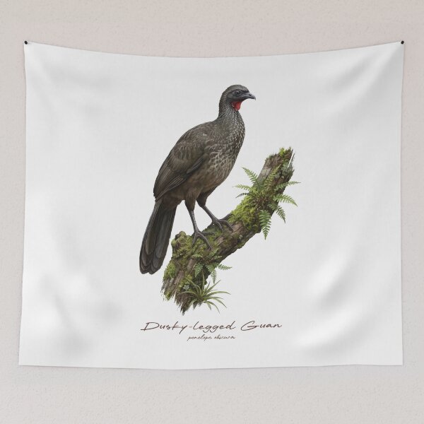 Item preview, Dusky-legged Guan on Mossy Tree Bird Illustration designed and sold by Takeda-art.