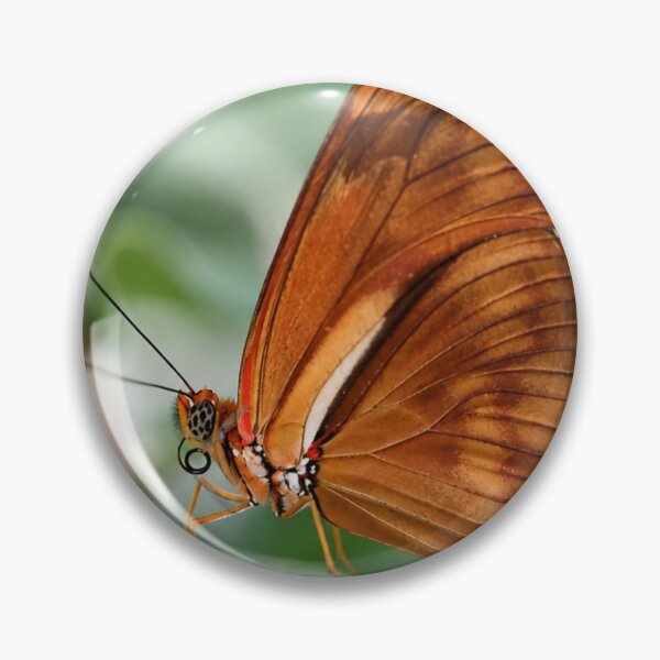 Item preview, Julia Butterfly on a Green Leaf designed and sold by Kimberly Palmer.