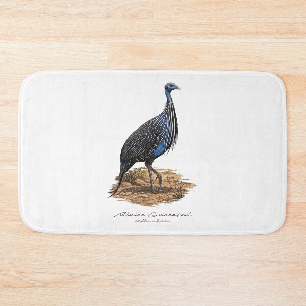 Item preview, Vulturine Guineafowl on Dried Land Bird Illustration designed and sold by Takeda-art.
