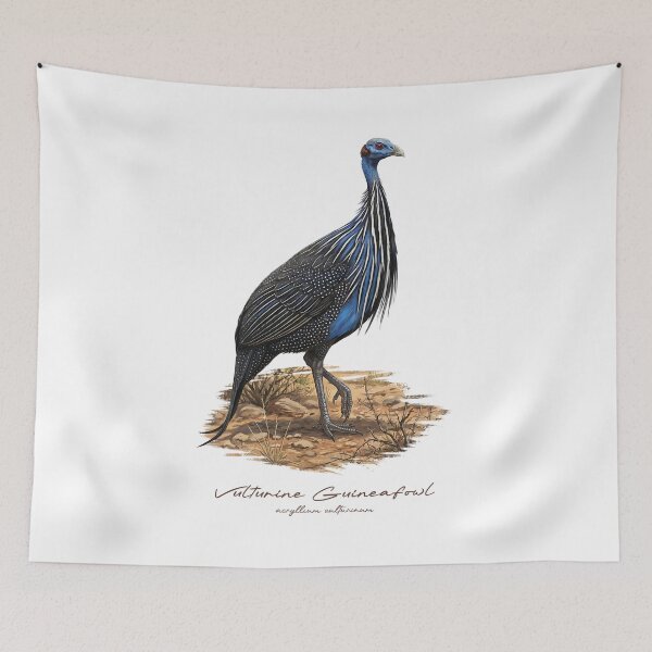 Item preview, Vulturine Guineafowl on Dried Land Bird Illustration designed and sold by Takeda-art.