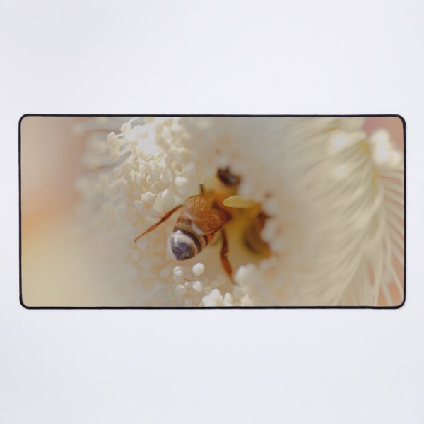Item preview, Honeybee on Eucalyptus kingsmillii (Kingsmill Mallee) Blossom Macro – Fine Art Photography Print designed and sold by MinzMarchStudio.