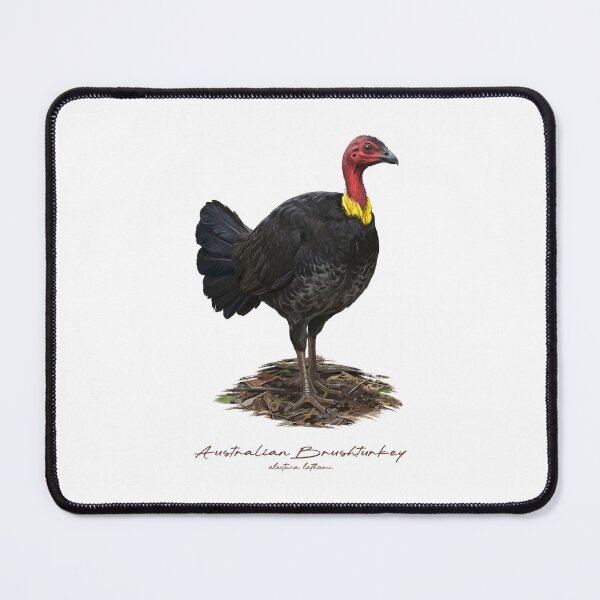 Item preview, Australian Brushturkey on Ground Bird Illustration designed and sold by Takeda-art.