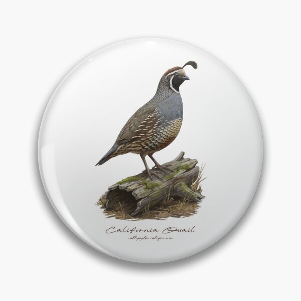 Item preview, California Quail on Mossy Log Bird Illustration designed and sold by Takeda-art.