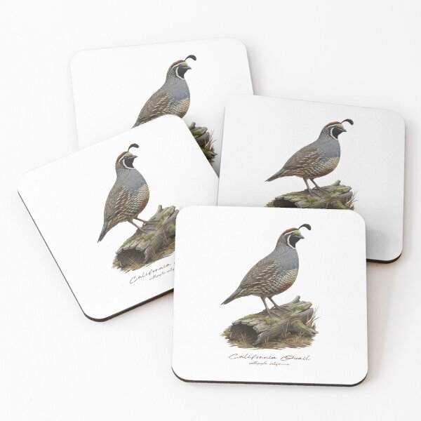 Item preview, California Quail on Mossy Log Bird Illustration designed and sold by Takeda-art.