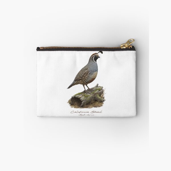 Item preview, California Quail on Mossy Log Bird Illustration designed and sold by Takeda-art.