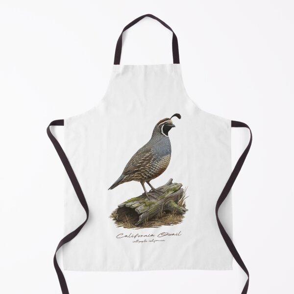 Item preview, California Quail on Mossy Log Bird Illustration designed and sold by Takeda-art.