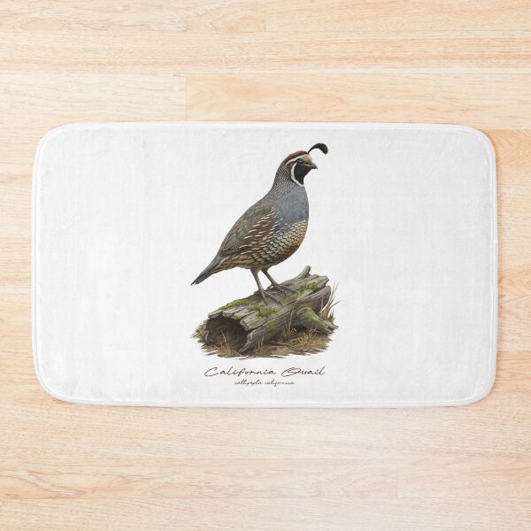 Item preview, California Quail on Mossy Log Bird Illustration designed and sold by Takeda-art.