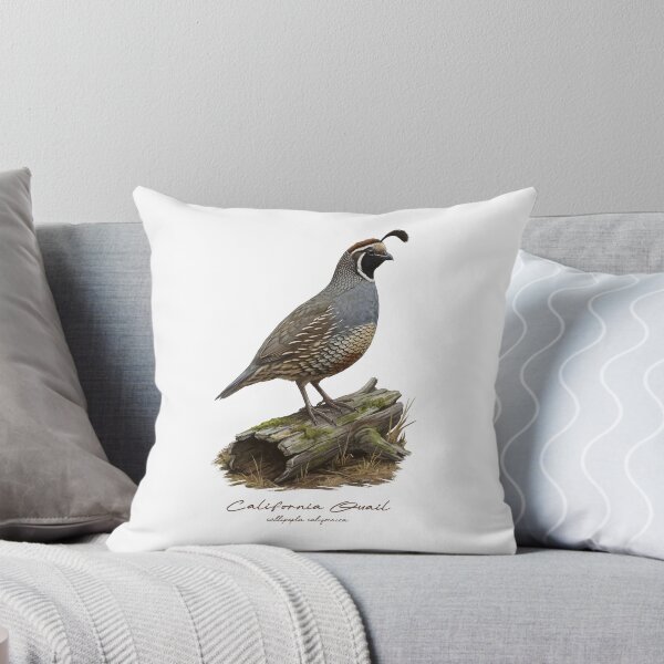 Item preview, California Quail on Mossy Log Bird Illustration designed and sold by Takeda-art.