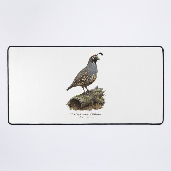 Item preview, California Quail on Mossy Log Bird Illustration designed and sold by Takeda-art.