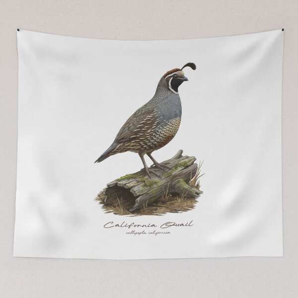 Item preview, California Quail on Mossy Log Bird Illustration designed and sold by Takeda-art.
