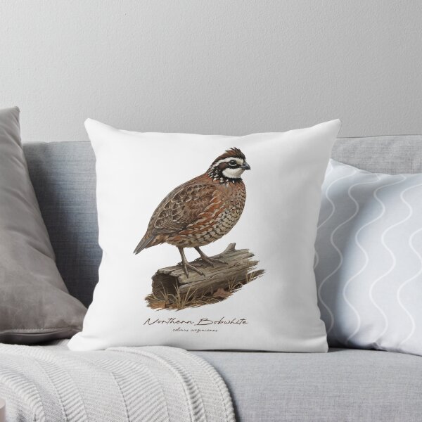 Item preview, Northern Bobwhite on Dried Wooden Log Bird Illustration designed and sold by Takeda-art.