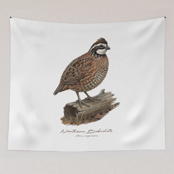 Item preview, Northern Bobwhite on Dried Wooden Log Bird Illustration designed and sold by Takeda-art.