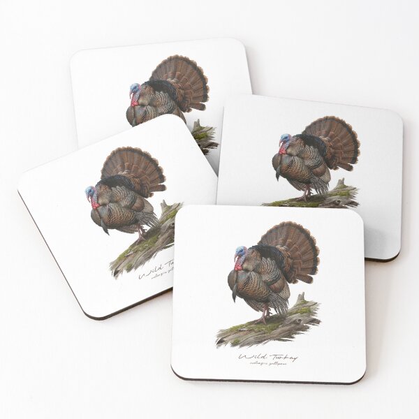 Item preview, Wild Turkey on Mossy Log Bird Illustration designed and sold by Takeda-art.