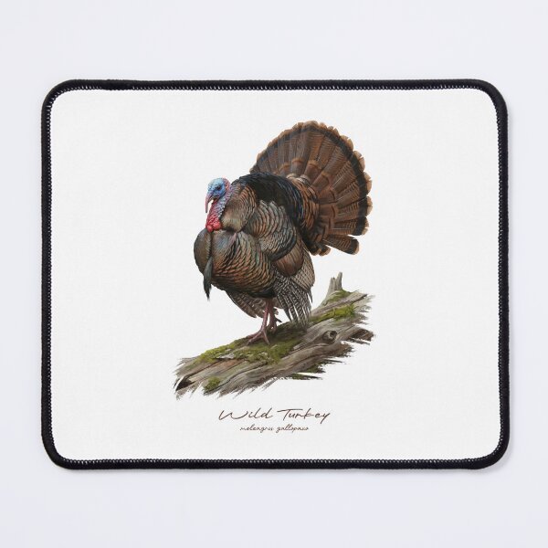 Item preview, Wild Turkey on Mossy Log Bird Illustration designed and sold by Takeda-art.