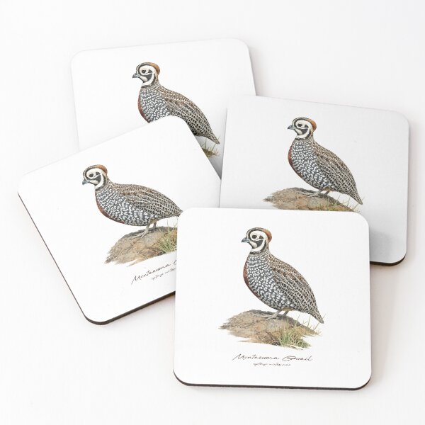 Item preview, Montezuma Quail on Rock Bird Illustration designed and sold by Takeda-art.