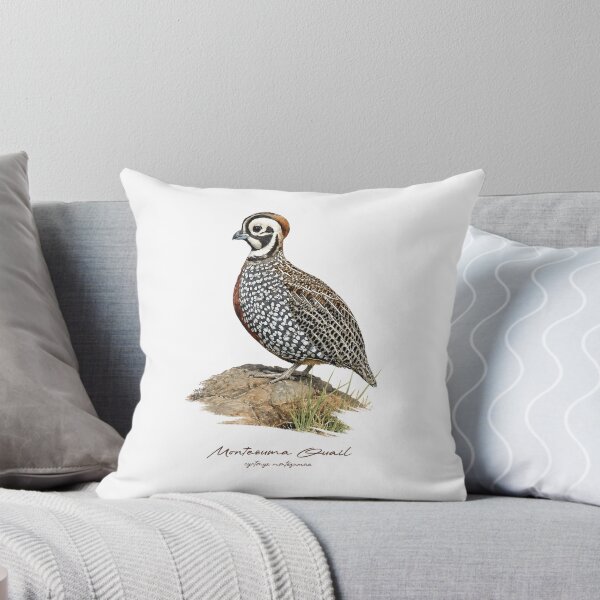 Item preview, Montezuma Quail on Rock Bird Illustration designed and sold by Takeda-art.