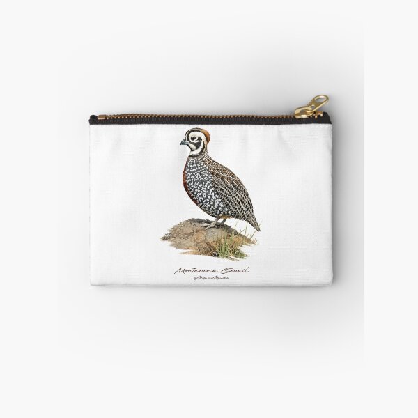 Item preview, Montezuma Quail on Rock Bird Illustration designed and sold by Takeda-art.
