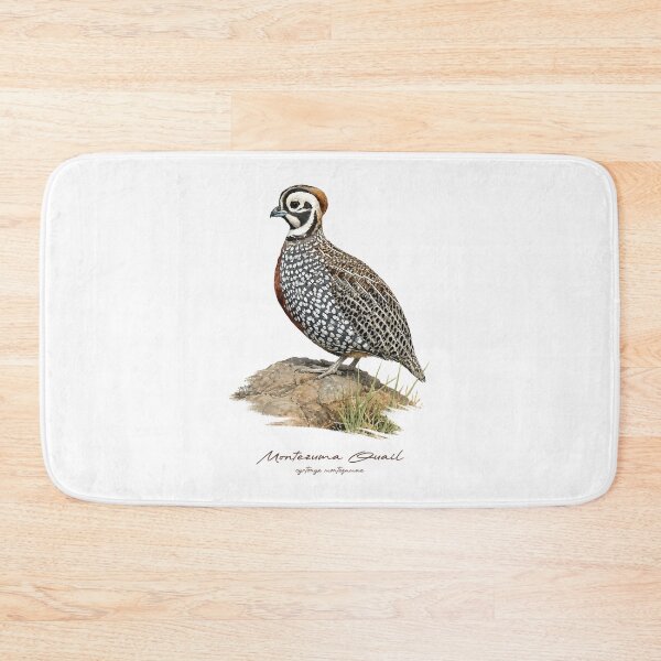 Item preview, Montezuma Quail on Rock Bird Illustration designed and sold by Takeda-art.
