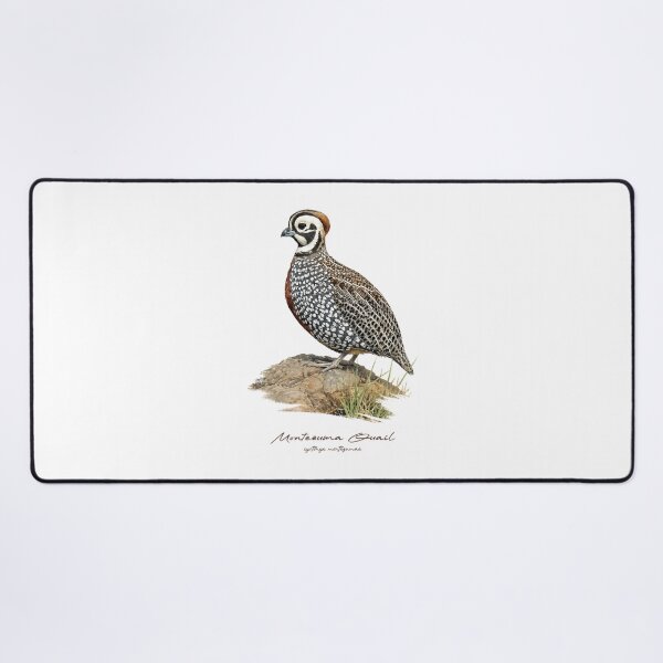 Item preview, Montezuma Quail on Rock Bird Illustration designed and sold by Takeda-art.