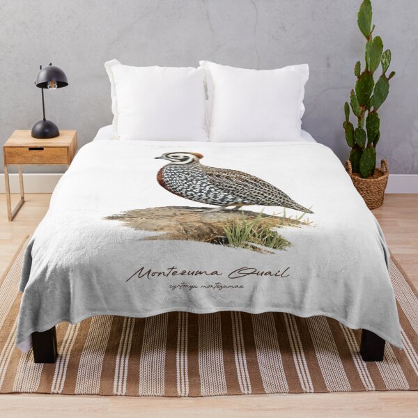 Item preview, Montezuma Quail on Rock Bird Illustration designed and sold by Takeda-art.