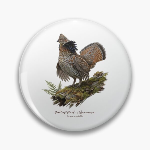Item preview, Ruffed Grouse on Mossy Log Bird Illustration designed and sold by Takeda-art.