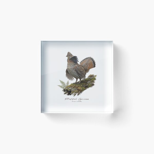 Item preview, Ruffed Grouse on Mossy Log Bird Illustration designed and sold by Takeda-art.