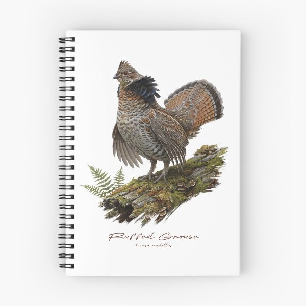 Item preview, Ruffed Grouse on Mossy Log Bird Illustration designed and sold by Takeda-art.