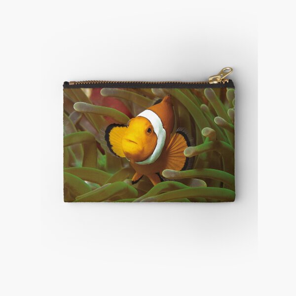 Item preview, Curious Clownfish in Green Anemone * Raja Ampat Photo |  designed and sold by Photo & Design Ute Niemann.