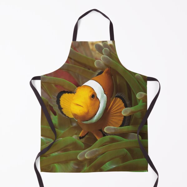 Item preview, Curious Clownfish in Green Anemone * Raja Ampat Photo | designed and sold by Photo & Design Ute Niemann.