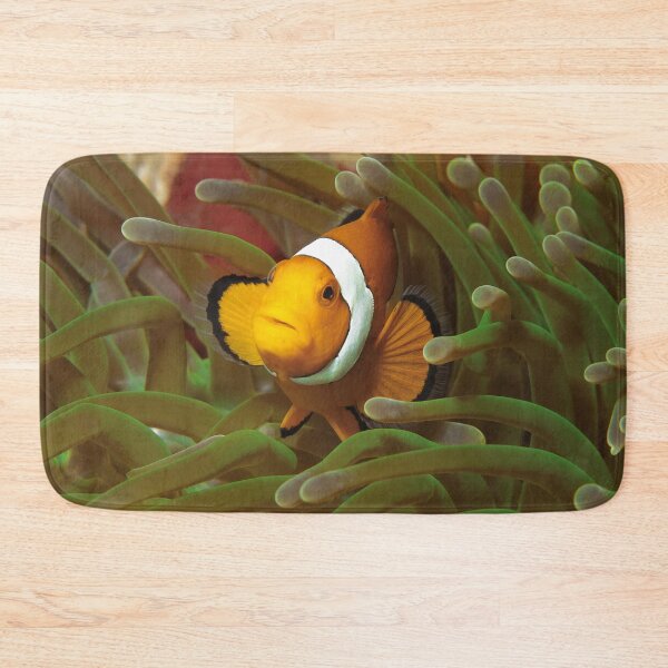 Item preview, Curious Clownfish in Green Anemone * Raja Ampat Photo |  designed and sold by Photo & Design Ute Niemann.
