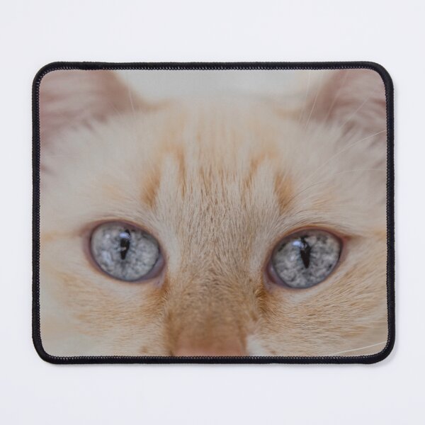 Item preview, Siamese Cat Eyes designed and sold by Elisabeth Lucas.