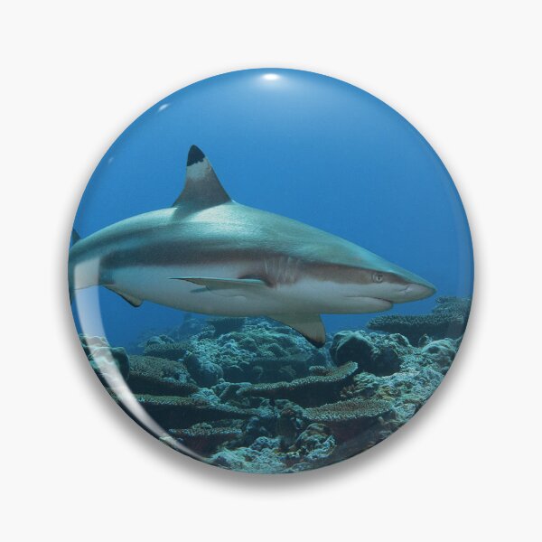 Item preview, Blacktip Reef Shark at Vertigo * Pacific Ocean Photo |  designed and sold by Photo & Design Ute Niemann.