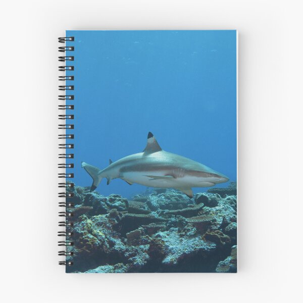Item preview, Blacktip Reef Shark at Vertigo * Pacific Ocean Photo |  designed and sold by Photo & Design Ute Niemann.