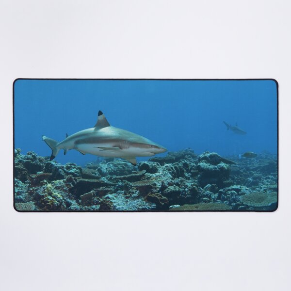 Item preview, Blacktip Reef Shark at Vertigo * Pacific Ocean Photo | designed and sold by Photo & Design Ute Niemann.