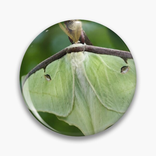 Item preview, Luminous Luna Moth in a Spring Garden designed and sold by Kimberly Palmer.