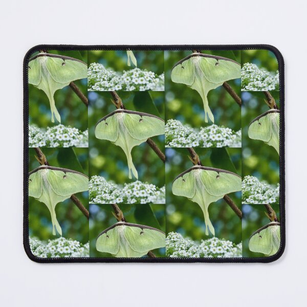 Item preview, Luminous Luna Moth in a Spring Garden designed and sold by Kimberly Palmer.
