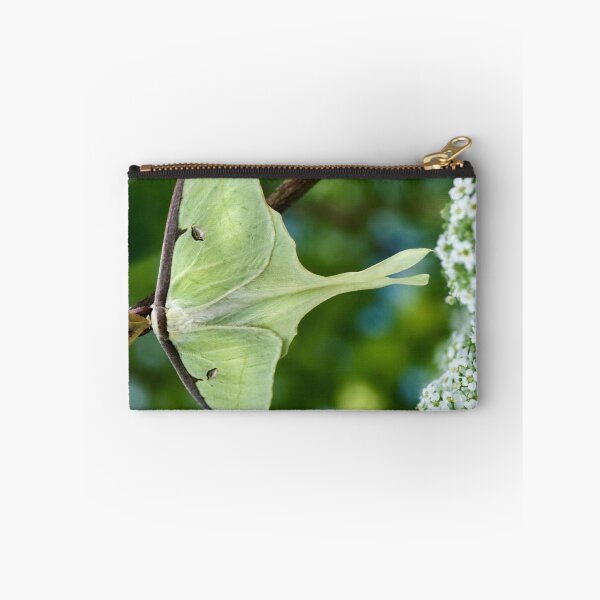 Item preview, Luminous Luna Moth in a Spring Garden designed and sold by Kimberly Palmer.