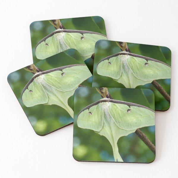 Item preview, Luminous Luna Moth in a Spring Garden designed and sold by Kimberly Palmer.