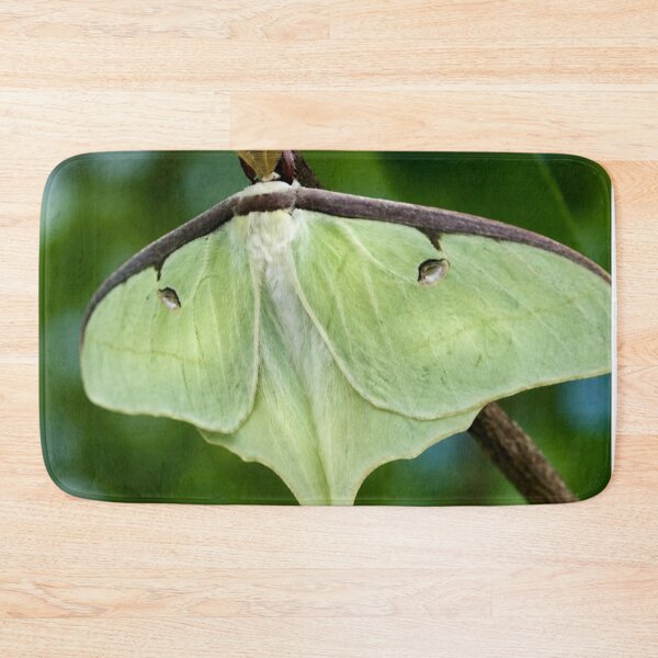 Item preview, Luminous Luna Moth in a Spring Garden designed and sold by Kimberly Palmer.