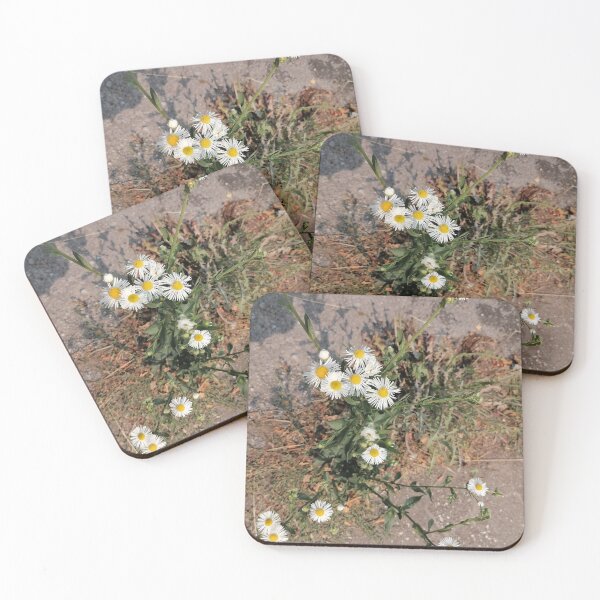 Item preview, Wildflowers, daisies along the path designed and sold by PhuongVoArt.