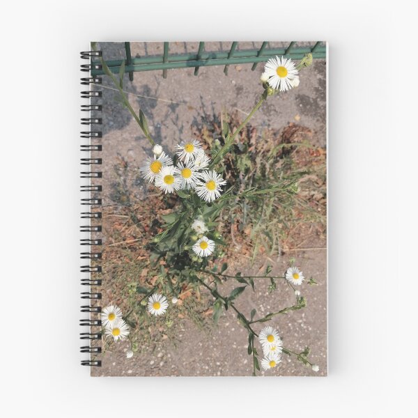 Item preview, Wildflowers, daisies along the path designed and sold by PhuongVoArt.