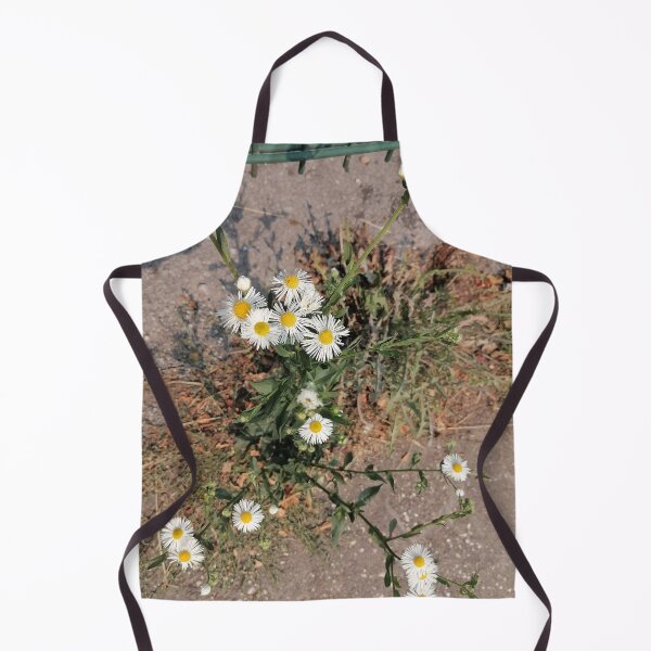 Item preview, Wildflowers, daisies along the path designed and sold by PhuongVoArt.