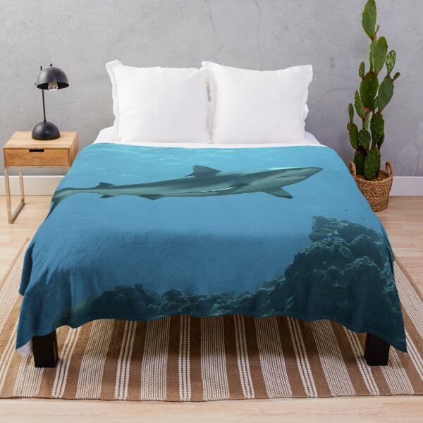 Item preview, Majestic Grey Reef Shark at Vertigo * Sunlit Pacific Photo | designed and sold by Photo & Design Ute Niemann.