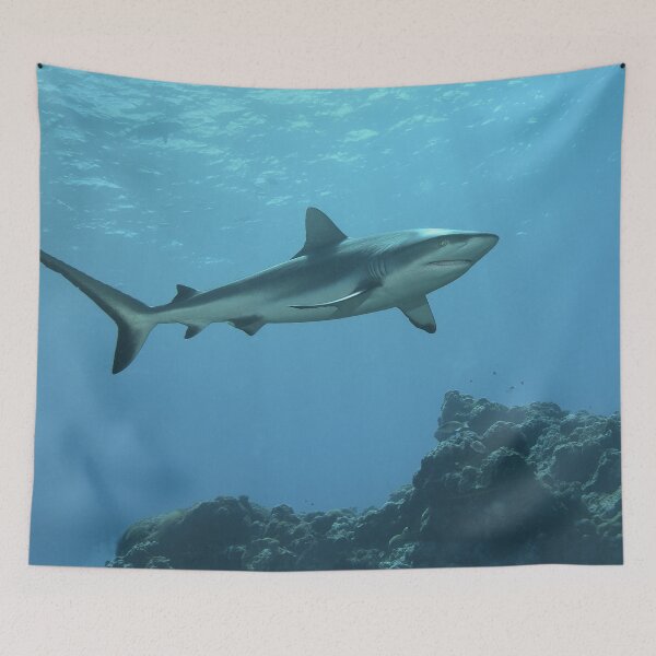Item preview, Majestic Grey Reef Shark at Vertigo * Sunlit Pacific Photo |  designed and sold by Photo & Design Ute Niemann.